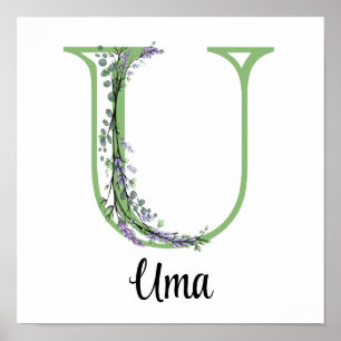 Eleganter Buchstabe U Lavender Eucalyptus Poster