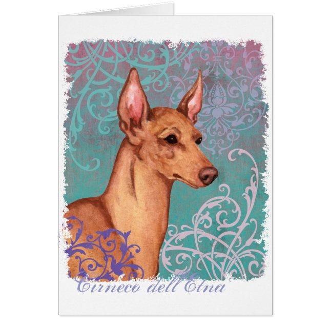Eleganter Cirneco dell'Etna Card (Vorne)