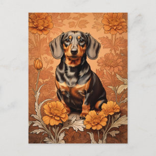 Eleganter Dachshund und Ringelblumen   Postkarte