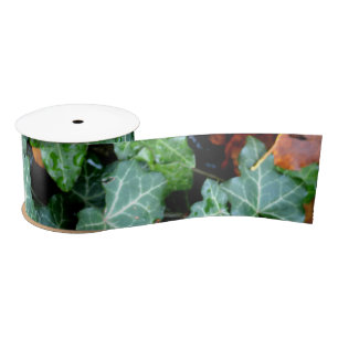Eleganter englischer Ivy und Felsstein Satinband