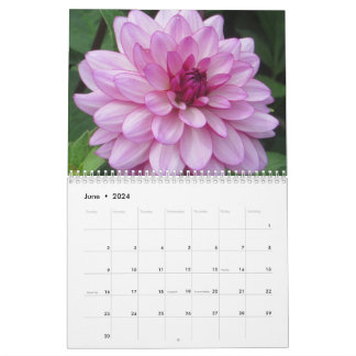 Eleganter farbenfroher Dahlias Botanischer Kalende Kalender