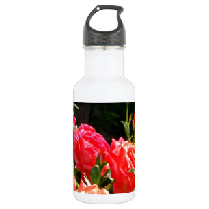 Eleganter Garten mit orangefarbenen Rose Rose Edelstahlflasche