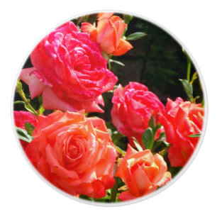 Eleganter Garten mit orangefarbenen Rose Rose Keramikknauf