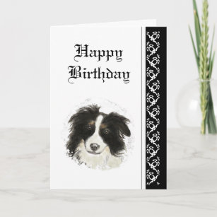Eleganter Geburtstag, Grenz-Collie-Dog-Begleiter Karte