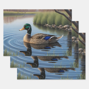 Eleganter Graceful Mallard auf einem ruhigen Lands Geschenkpapier Set
