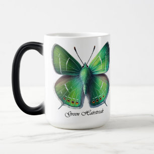Eleganter Grüner Hairstreak-Schmetterlings-Wrap Verwandlungstasse
