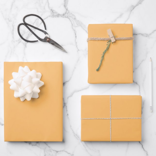 Eleganter, heller Orange Minimalistisch und elegan Geschenkpapier Set (Vorderseite)