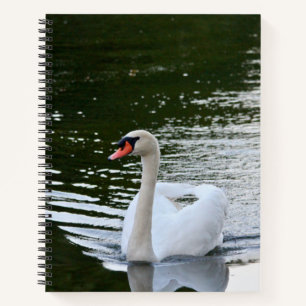 Eleganter Höckerschwan Notizbuch