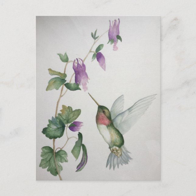 Eleganter Hummingbird Garden Postkarte (Vorderseite)