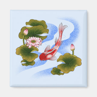 Eleganter Koi-Karpfen im Lotusteich Magnet
