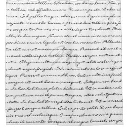 Eleganter kundenspezifischer Schwarzweiss-Text Duschvorhang