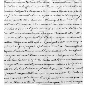 Eleganter kundenspezifischer Schwarzweiss-Text Duschvorhang