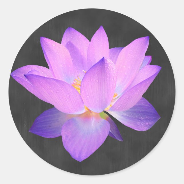 Eleganter Lila Lotus Sticker (Vorderseite)