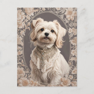 Eleganter malteser Hund, inspiriert von William Mo Postkarte