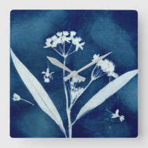 Eleganter Milkweed Cyanotyp