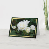 Eleganter, moderner Weißrosen Blume Goldener Rahme