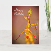 Eleganter Orange Gelb Orchid Blume Happy Birthday