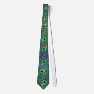 Eleganter Pfau versieht grungy Krawatten mit