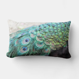 Eleganter Pfau versieht lumbales Wurfs-Kissen mit Lendenkissen