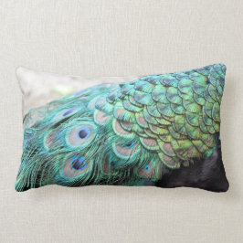Eleganter Pfau versieht lumbales Wurfs-Kissen mit Lendenkissen