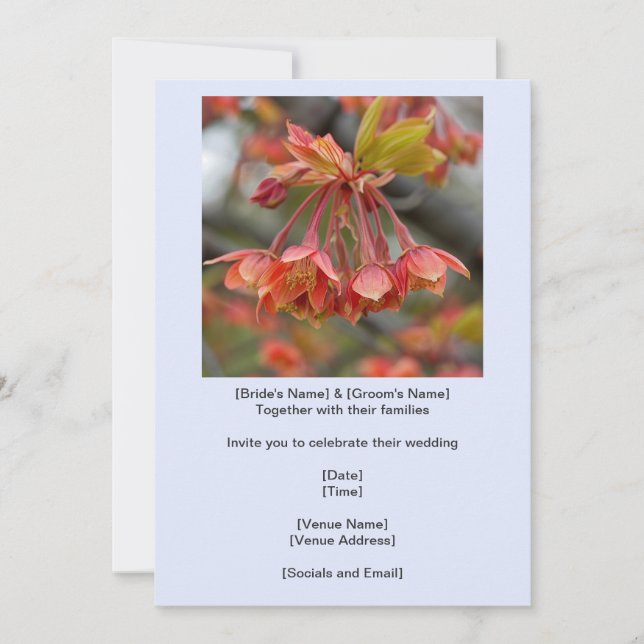 Eleganter Red Maple Tree Blume Cluster Hochzeit Einladung (Vorderseite)