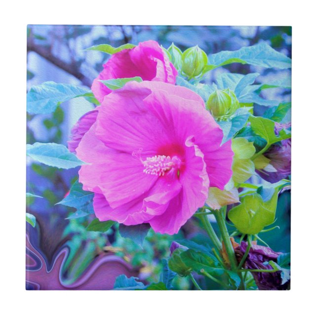 Eleganter Rosa Hibiskus Blume mit Aqua Foliage Fliese (Vorderseite)