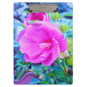 Eleganter rosa Hibiskus mit Wavy Blue Foliage Klemmbrett