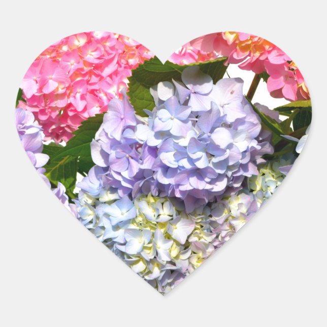 Eleganter, rosa, lila-blauer Hydrangea-Bouquet Herz-Aufkleber (Vorderseite)