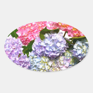 Eleganter, rosa, lila-blauer Hydrangea-Bouquet Ovaler Aufkleber