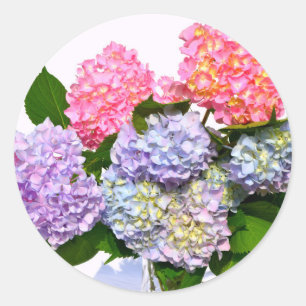 Eleganter, rosa, lila-blauer Hydrangea-Bouquet Runder Aufkleber