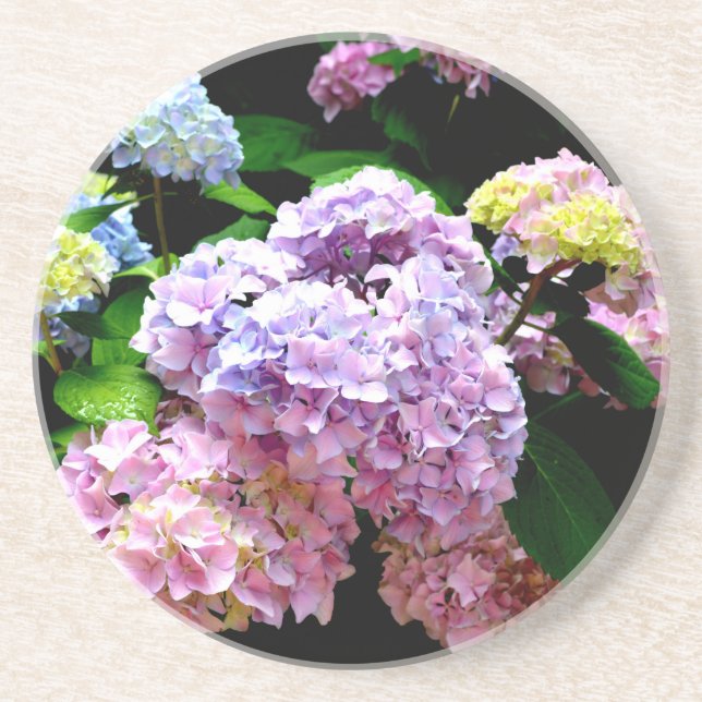Eleganter, rosa, lila blauer Hydrangea-Garten Getränkeuntersetzer (Vorne)