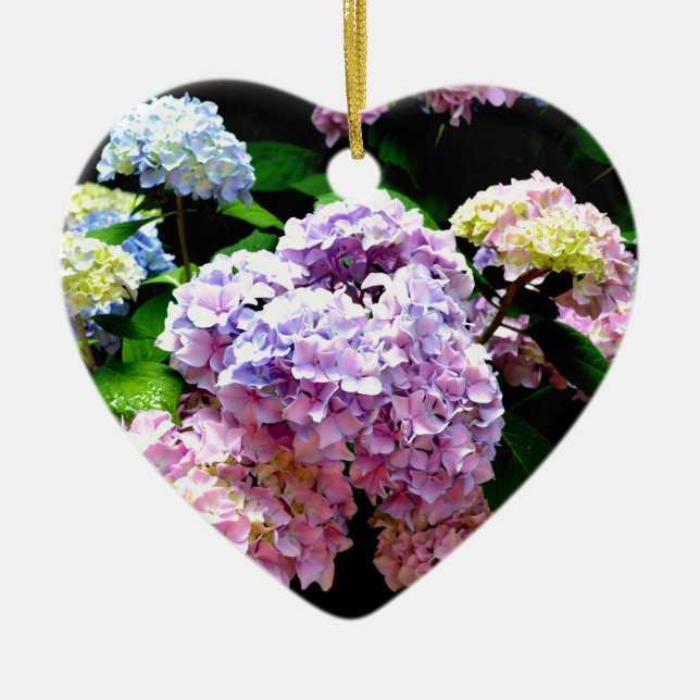 Eleganter, rosa, lila blauer Hydrangea-Garten Keramikornament (Vorne)