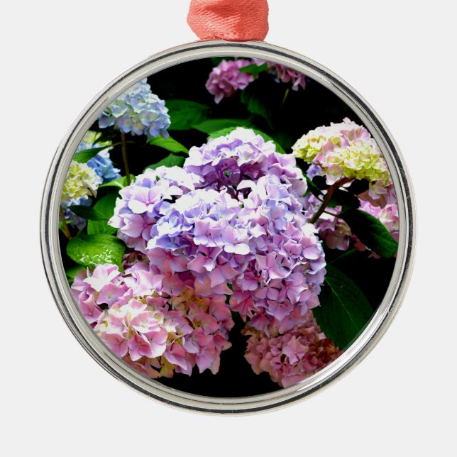 Eleganter, rosa, lila blauer Hydrangea-Garten Silbernes Ornament (Vorne)