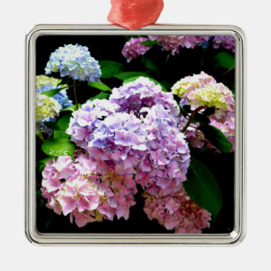 Eleganter, rosa, lila blauer Hydrangea-Garten Silbernes Ornament
