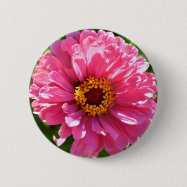 Eleganter Rosa Retro Rosa-Département Button