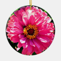 Eleganter Rosa Retro Rosa-Département
