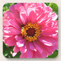 Eleganter Rosa Retro Rosa-Département