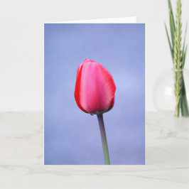Eleganter rosa Tulip Lavender Hintergrund Blank Karte