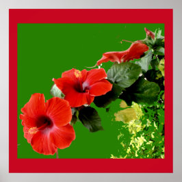 Eleganter Roter Hibiskus in Full Bloom Poster