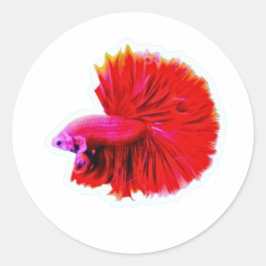 Eleganter Roter Rose Tail Betta Sticker - Luxuriös
