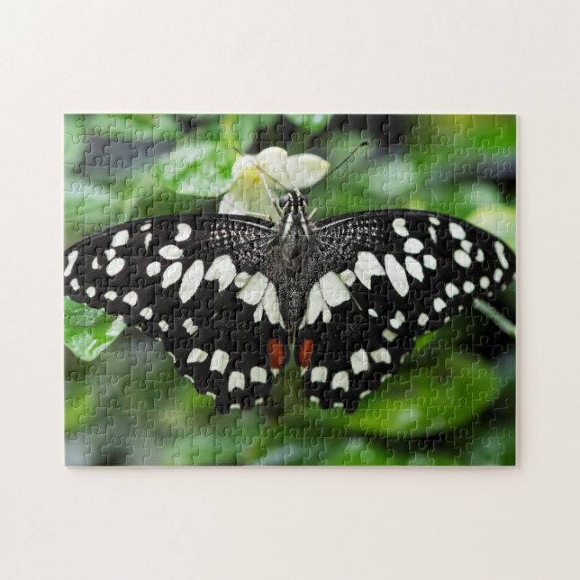 Eleganter Schmetterling Puzzle (Horizontal)