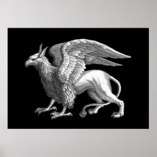 Eleganter Silber-Grau-Greif, legendäres Tier Poster
