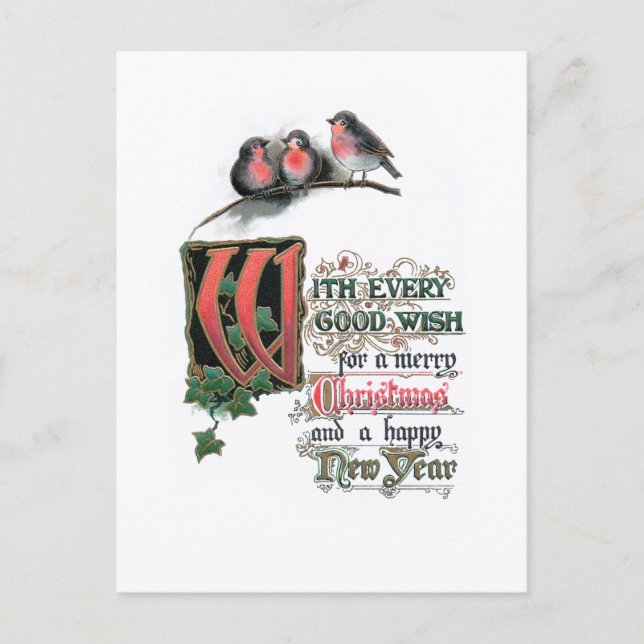 Eleganter Verzierter Weihnachtstext mit Robins & I Postkarte (Vorderseite)