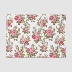 Eleganter Vintag rosa Rosenweißer Hintergrund Seidenpapier