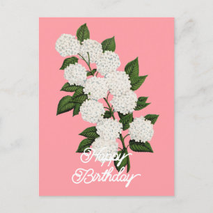 Eleganter Vintage-Japanischer Schneeball Alles Gut Postkarte