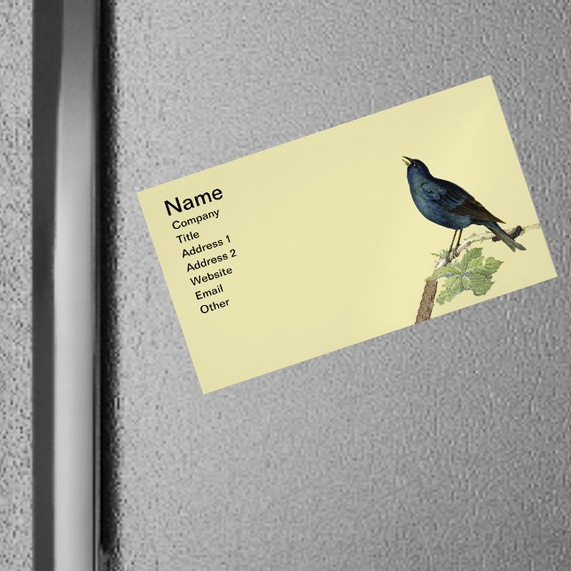 Eleganter Vintager Black Bird Gelb Magnetische Visitenkarte (Singing black bird on branch caterpillar leaves on light yellow magnetic business card.)