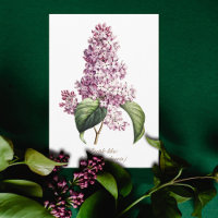 Eleganter Vintager botanischer Lila Lilac Blossom