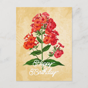 Eleganter Vintager Hybrid Phlox Blume Happy Birthd Postkarte