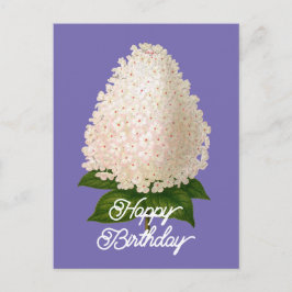 Eleganter Vintager Hydrangea Paniculata Geburtstag Postkarte