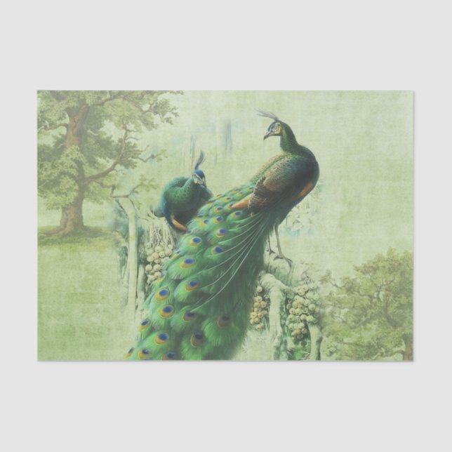 Eleganter Vintager Pfau Seidenpapier (Vorderseite)